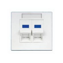 Venda Por Atacado rj45 rj11 86 * 86 porta de parede faceplate porta dupla, faceplate 2 amp porta